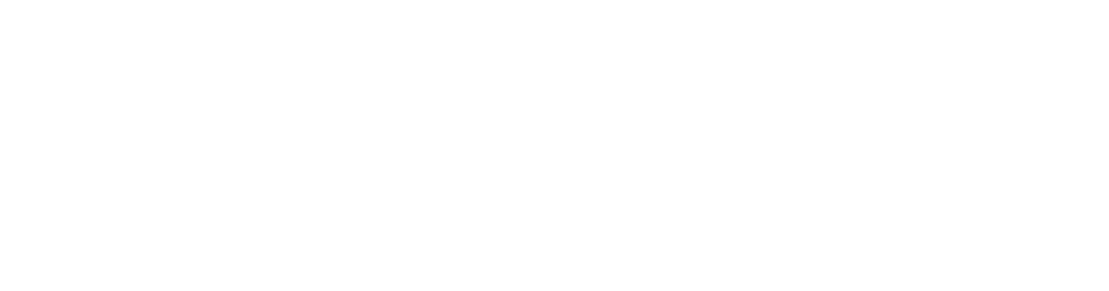 Altai Digital Solutions