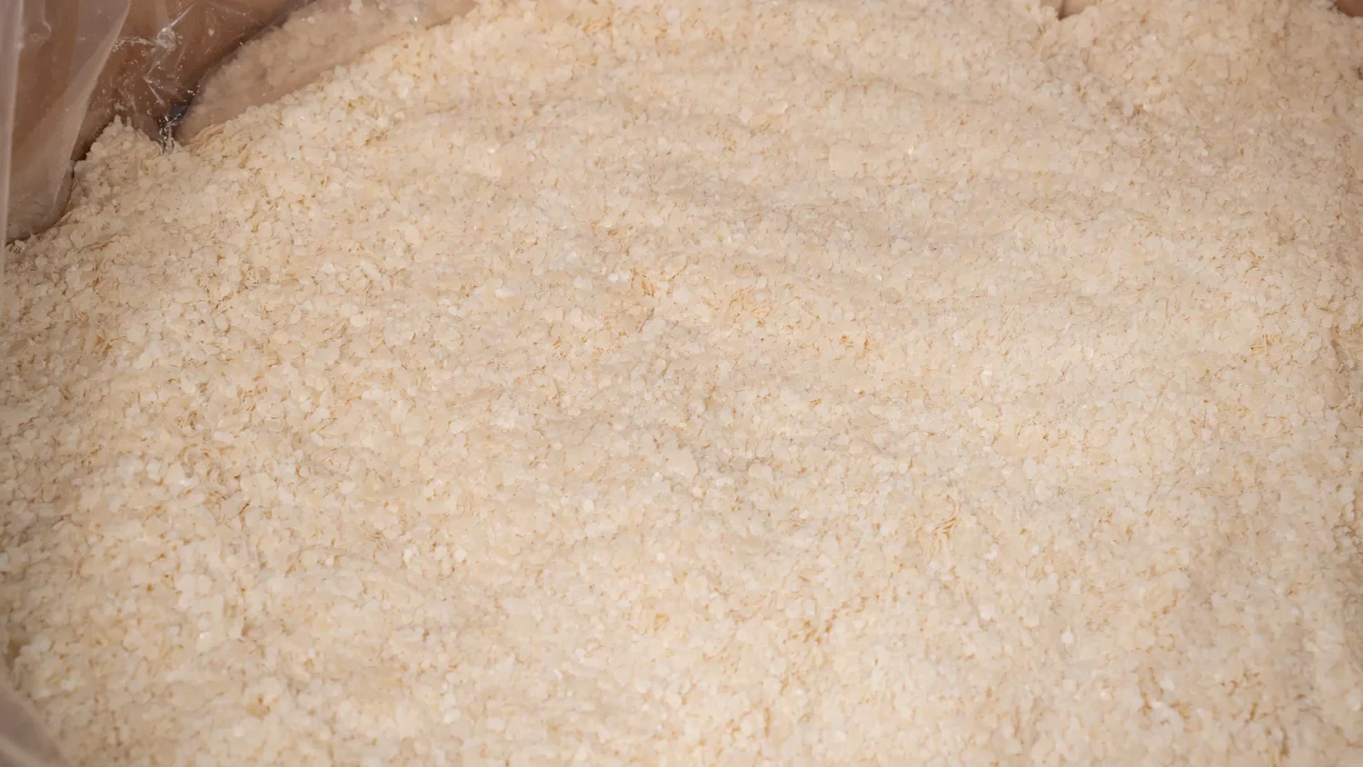 Waxlar
